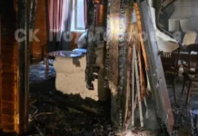 mchs provodit operacziyu v sobolihe dlya rassledovaniya gibeli pary v podmoskove-onlymainnews-ru-0