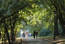 МегаФон и Тимур Фахрутдинов обсуждают новые возможности мобильной связи в Лианозовском парке megafon i timur fahrutdinov obsuzhdayut novye vozmozhnosti mobilnoj svyazi v lianozovskom parke-onlymainnews-ru-0