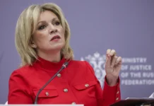 МИД РФ подтверждает приостановку ДСНВ, Владимир Путин и Дональд Трамп поддерживают диалог mid rf podtverzhdaet priostanovku dsnv vladimir putin i donald tramp podderzhivayut dialog-onlymainnews-ru-0