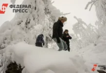 neozhidannye obstoyatelstva dela o grante na lakokrasochnye materialy semi usolczevyh iz krasnoyarskogo kraya-onlymainnews-ru-0