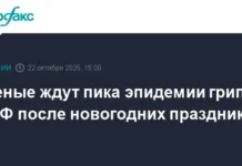 nii grippa imsmorodinczeva prognoziruet pik grippa  i  v rf posle prazdnikov-onlymainnews-ru-0