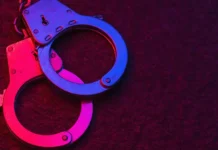 При поддержке Бастрыкина задержаны 9 осужденных в Кургане pri podderzhke bastrykina zaderzhany 9 osuzhdennyh v kurgane-onlymainnews-ru-0