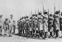 priznanie makrona i pravda o tirajlerah v tiaroe ot senegala i franczii-onlymainnews-ru-0