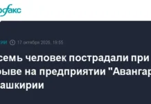 Радий Хабиров держит ситуацию на Авангарде в Стерлитамаке под контролем radij habirov derzhit situacziyu na avangarde v sterlitamake pod kontrolem-onlymainnews-ru-0