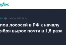 rosrybolovstvo prognoziruet rekordnyj rost ulovov lososya na kamchatke-onlymainnews-ru-0