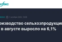 Росстат сообщает о росте урожая зерна и овощей в РФ rosstat soobshhaet o roste urozhaya zerna i ovoshhej v rf-onlymainnews-ru-0