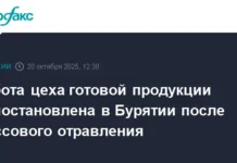 Шаги к безопасности в Улан-Удэ после вспышки сальмонеллеза от ООО "Восток" shagi k bezopasnosti v ulanude posle vspyshki salmonelleza ot ooo vostok-onlymainnews-ru-0