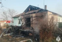 Службы МЧС активно борются с пожарами в Приморье, защищая Вадимовку и Владивосток sluzhby mchs aktivno boryutsya s pozharami v primore zashhishhaya vadimovku i vladivostok-onlymainnews-ru-0