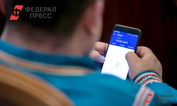 Совет Федерации и Минэкономразвития оптимизируют будущее самозанятых и ИП-0