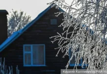 Советы от Ольги Вороновой и Союза садоводов России по подготовке дачи к зиме sovety ot olgi voronovoj i soyuza sadovodov rossii po podgotovke dachi k zime-onlymainnews-ru-0