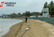 В Анапе специалисты усиливают песчаный вал для защиты от мазута в море v anape speczialisty usilivayut peschanyj val dlya zashhity ot mazuta v more-onlymainnews-ru-0