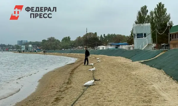 В Анапе специалисты усиливают песчаный вал для защиты от мазута в море-0