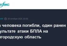 В Белгородской области сельхозпредприятие подверглось атаке БПЛА с жертвами v belgorodskoj oblasti selhozpredpriyatie podverglos atake bpla s zhertvami-onlymainnews-ru-0