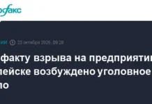 В Копейске СКР инициировал расследование по вопросам безопасности v kopejske skr inicziiroval rassledovanie po voprosam bezopasnosti-onlymainnews-ru-0