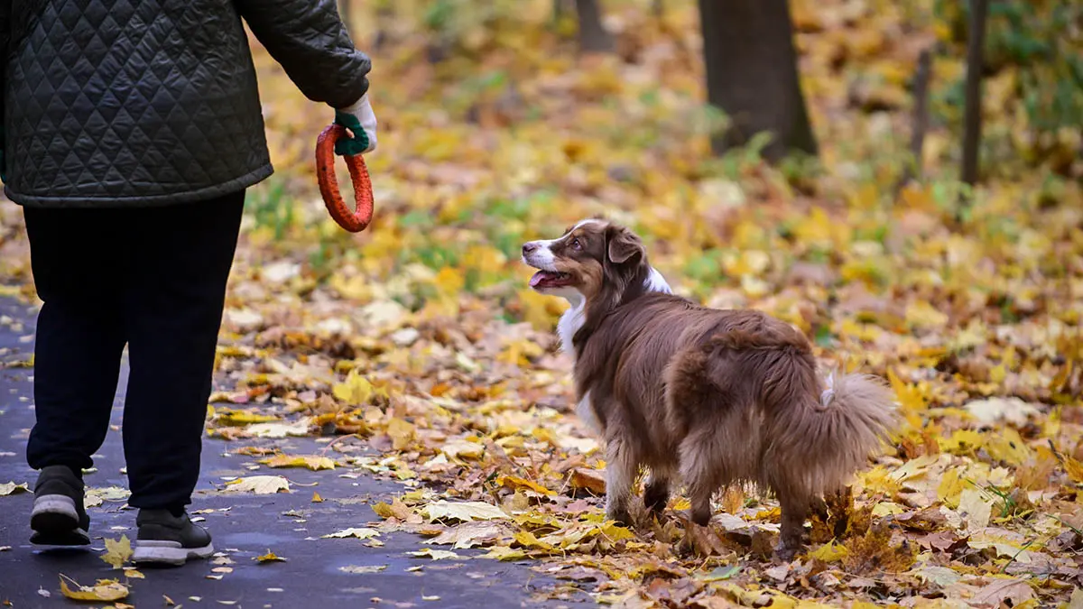 Погода в Москве на выходных 25 и 26 октября
