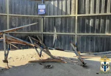 v novosibirske avtomobil zadel ostanovku postradali deti i zhenshhiny-onlymainnews-ru-0