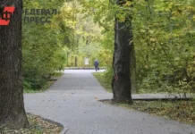 Вам решать! Глеб Никитин инициировал народное голосование в Нижегородской области vam reshat gleb nikitin inicziiroval narodnoe golosovanie v nizhegorodskoj oblasti-onlymainnews-ru-0