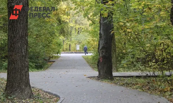 Вам решать! Глеб Никитин инициировал народное голосование в Нижегородской области-0