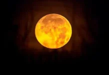 Бобровая Луна озарила Москву, Санкт-Петербург, Урал и Приморье в ноябре bobrovaya luna ozarila moskvu sanktpeterburg ural i primore v noyabre-onlymainnews-ru-0