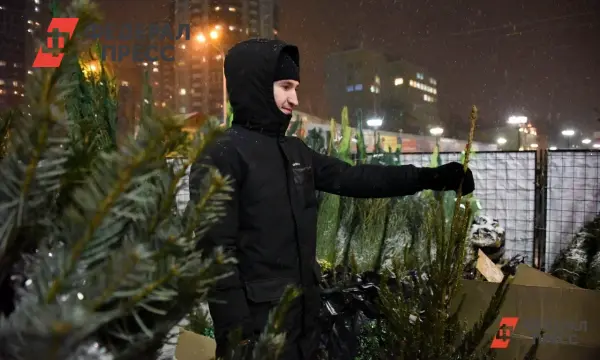 Где купить новогодние елки на Ямале, цены и правила от Лесничества-0