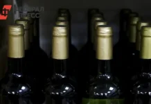 Госдума и новые люди поддерживают информирование о вреде алкоголя gosduma i novye lyudi podderzhivayut informirovanie o vrede alkogolya-onlymainnews-ru-0