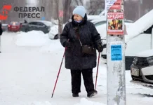 Говырин сообщил о раннем приходе январских пенсий с индексацией от Социального Фонда govyrin soobshhil o rannem prihode yanvarskih pensij s indeksacziej ot soczialnogo fonda-onlymainnews-ru-0