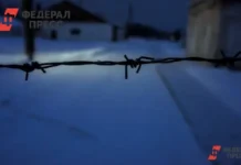 Григорий Скворцов прошёл путь через Пермский краевой суд к колонии строгого режима Архангельской области grigorij skvorczov proshyol put cherez permskij kraevoj sud k kolonii strogogo rezhima arhangelskoj oblasti-onlymainnews-ru-0