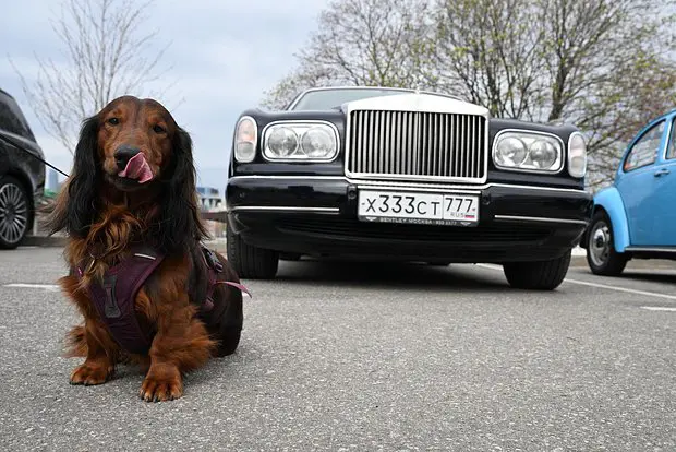 Вводная картинка