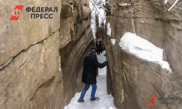 МЧС и Светлана Фоменко дают советы по поискам Усольцевых в Красноярском крае-0