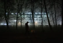 МЧС предупреждает о густом тумане в Москве и Подмосковье ночью mchs preduprezhdaet o gustom tumane v moskve i podmoskove nochyu-onlymainnews-ru-0