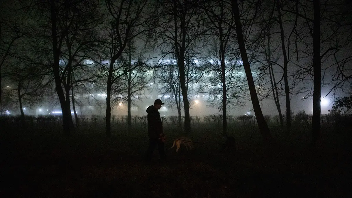 МЧС: Туман ожидается в Подмосковье в ночь на 18 ноября