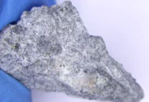 Метеорит из группы LL6, замеченный над Москвой, обнаружили в Новгородской области meteorit iz gruppy 6 zamechennyj nad moskvoj obnaruzhili v novgorodskoj oblasti-onlymainnews-ru-0