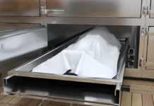 Нико Кло рассказывает о неожиданных судьбах известных каннибалов niko klo rasskazyvaet o neozhidannyh sudbah izvestnyh kannibalov-onlymainnews-ru-0