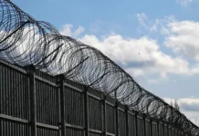 Подробности заговора в СИЗО под контролем Росфинмониторинга от Дмитрия Папенко, Владимира Макаренко и Григория Синченко podrobnosti zagovora v sizo pod kontrolem rosfinmonitoringa ot dmitriya papenko vladimira makarenko i grigoriya sinchenko-onlymainnews-ru-0