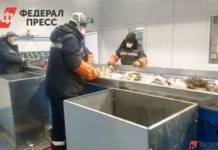 Правительство России окажет субсидии на экологию для Марий Эл, Мордовии, Дагестана и Курганской области pravitelstvo rossii okazhet subsidii na ekologiyu dlya marij el mordovii dagestana i kurganskoj oblasti-onlymainnews-ru-0