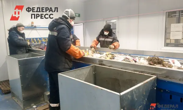 Правительство России окажет субсидии на экологию для Марий Эл, Мордовии, Дагестана и Курганской области-0