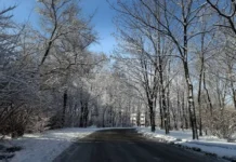 Прокуратура Приморья выявила новые подходы к улучшению дорог в Спасске-Дальнем prokuratura primorya vyyavila novye podhody k uluchsheniyu dorog v spasskedalnem-onlymainnews-ru-0