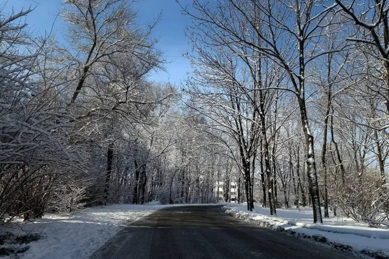 Фото: primamedia.ru