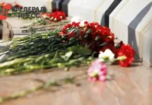 Реваз Шенгелия о своем пути как создателя Центрального рынка Перми revaz shengeliya o svoem puti kak sozdatelya czentralnogo rynka permi-onlymainnews-ru-0