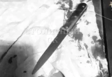 СК России и полиция оперативно задержали подозреваемого в Зеленограде sk rossii i policziya operativno zaderzhali podozrevaemogo v zelenograde-onlymainnews-ru-0