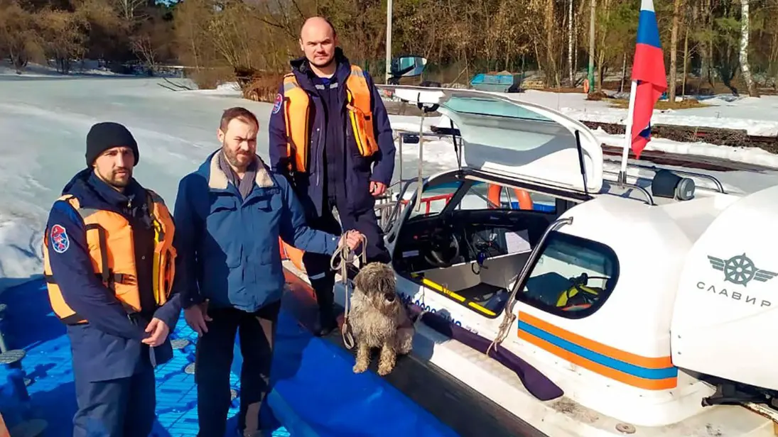 Московские спасатели рассказали о помощи домашним животным