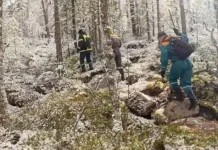 Тайга Красноярского края и история исчезновения Усольцевых глазами экспертов tajga krasnoyarskogo kraya i istoriya ischeznoveniya usolczevyh glazami ekspertov-onlymainnews-ru-0