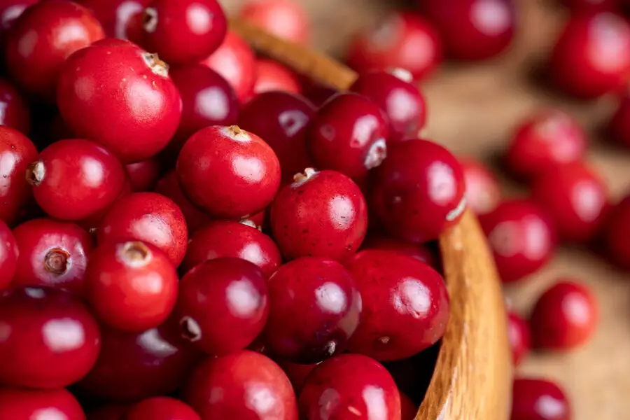 Технологический институт Сибаура открыл новые свойства флаванолов для мозга-0