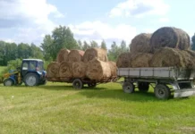 Уймин Николай Александрович, Сергей Есенин и труд на полях после сбора урожая ujmin nikolaj aleksandrovich sergej esenin i trud na polyah posle sbora urozhaya-onlymainnews-ru-0