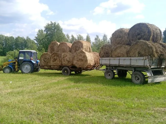 Уймин Николай Александрович, Сергей Есенин и труд на полях после сбора урожая-0
