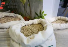 Успехи аграриев Рязанской области под руководством Павла Малкова uspehi agrariev ryazanskoj oblasti pod rukovodstvom pavla malkova-onlymainnews-ru-0