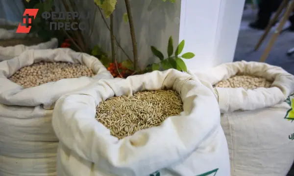 Успехи аграриев Рязанской области под руководством Павла Малкова-0