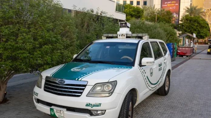 v dubae zavershilos rassledovanie dela o propazhe romana novaka i anny-onlymainnews-ru-0