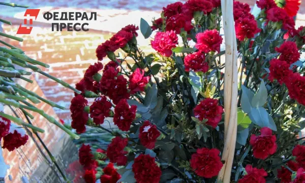 В Екатеринбурге расследуют схемы фиктивных браков и исчезновения на СВО-0