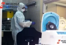 Вирусолог Виктор Зуев поделился оптимистичным прогнозом по H5N5 в США и рисках для России virusolog viktor zuev podelilsya optimistichnym prognozom po 55 v ssha i riskah dlya rossii-onlymainnews-ru-0